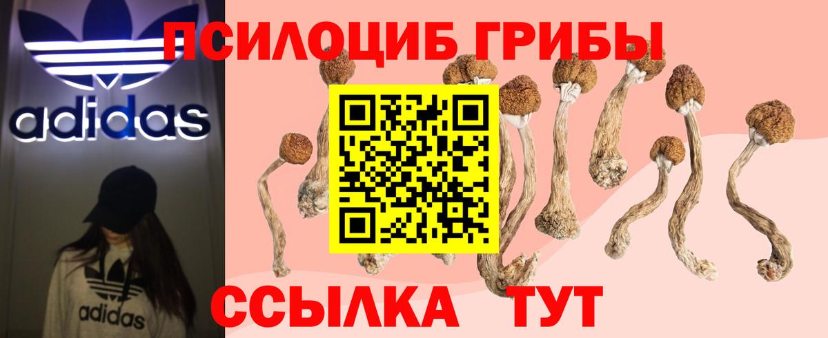 Галлюциногенные грибы мицелий Бузулук